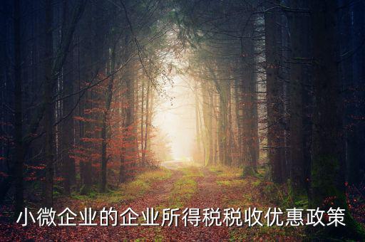 稅務(wù)小微企業(yè)稅收優(yōu)惠是什么，小微企業(yè)的企業(yè)所得稅稅收優(yōu)惠政策