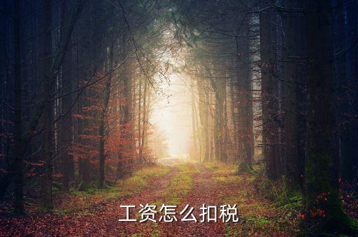 員工工資中的稅是按什么扣的，工資怎么扣稅