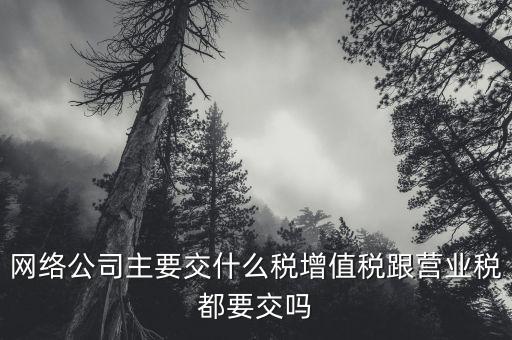 互聯(lián)網(wǎng)企業(yè)交什么稅，互聯(lián)網(wǎng)公司在稅收上有何政策