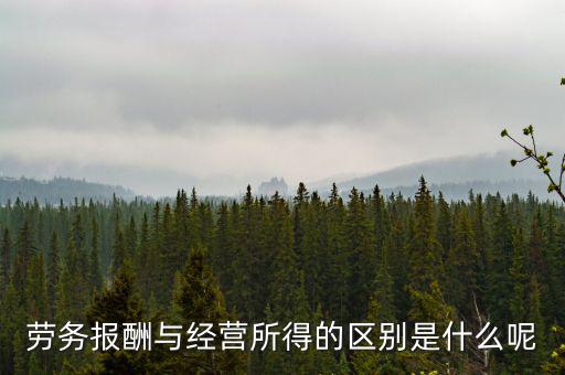 什么是經(jīng)營(yíng)所得，個(gè)體工商戶的生產(chǎn)經(jīng)營(yíng)所得是指什么