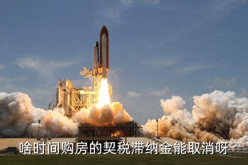 契稅什么時候扣掉，國稅和地稅繳稅期限是什么時候