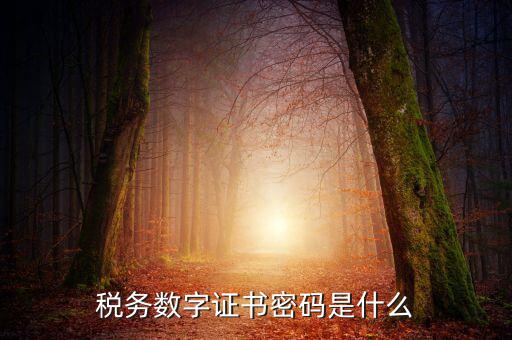 湖北地稅ca登錄密碼是什么意思，地稅CA證書如何解密碼