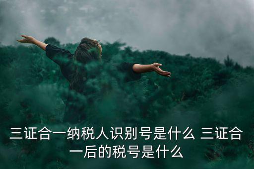 三證合一后稅號是什么，三證合一納稅人識別號是什么 三證合一后的稅號是什么