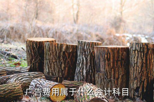 廣告宣傳費屬于什么費用，宣傳費計入什么科目