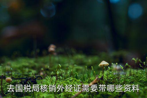 核銷外經(jīng)證地稅那做什么，去國稅局核銷外經(jīng)證需要帶哪些資料