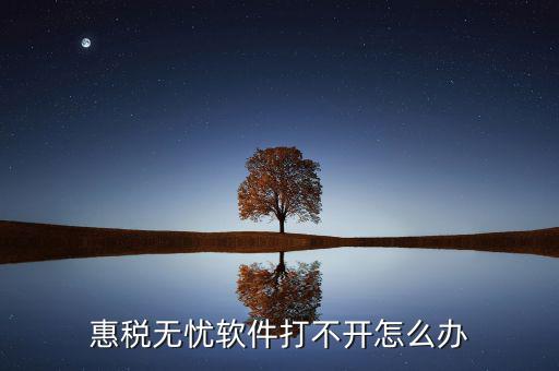 惠稅無(wú)憂軟件打不開怎么辦