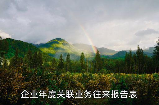 企業(yè)年度關聯業(yè)務往來報告表