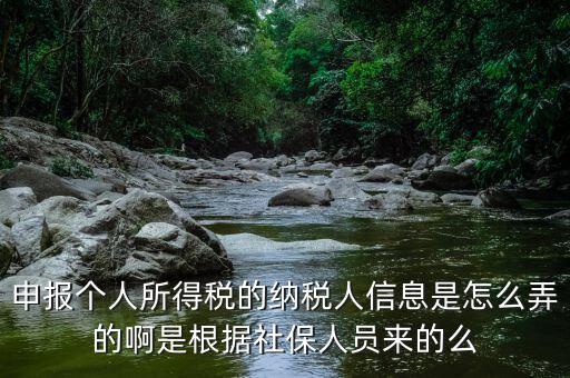 納稅人信息包括什么，申報(bào)個(gè)人所得稅的納稅人信息是怎么弄的啊是根據(jù)社保人員來的么