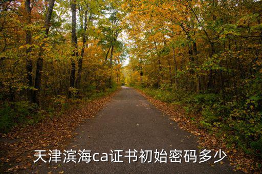 天津ca密碼是什么意思，天津社?？ǔ跏济艽a是多少啊 我是中國銀行的