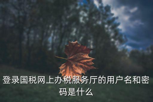 報(bào)稅企業(yè)用戶(hù)名是什么，登錄國(guó)稅網(wǎng)上辦稅服務(wù)廳的用戶(hù)名和密碼是什么