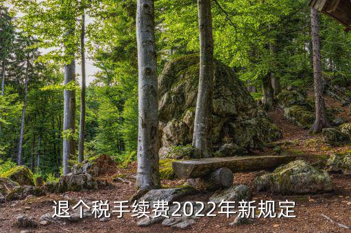 退個稅手續(xù)費(fèi)2022年新規(guī)定