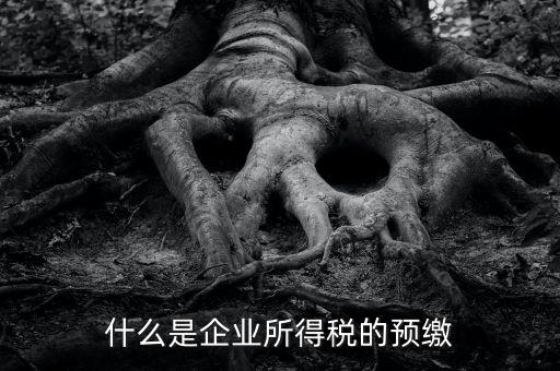 什么是預(yù)交企業(yè)所得稅，什么是企業(yè)所得稅的預(yù)繳