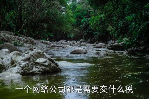 互聯(lián)網(wǎng)公司交什么稅，做互聯(lián)網(wǎng)服務(wù)行業(yè)要交多少稅