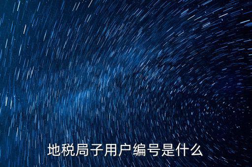 地稅網(wǎng)用戶(hù) 子賬戶(hù)是指什么，地稅的用戶(hù)名是什么