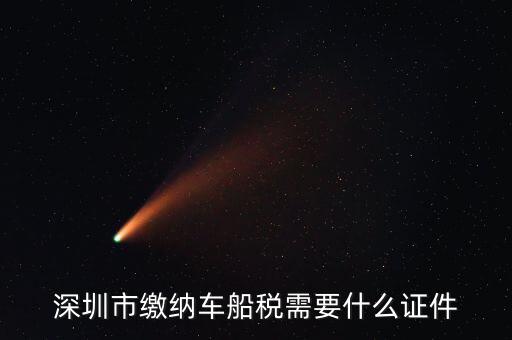 深圳交車船稅要帶什么資料，深圳市繳納車船稅需要什么證件