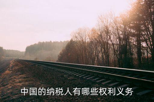 納稅服務(wù)什么權(quán)，中國(guó)的納稅人有哪些權(quán)利義務(wù)