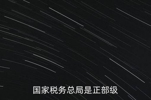 稅務(wù)大廳主任什么級別，金河鎮(zhèn)稅務(wù)務(wù)局局長是什么級別