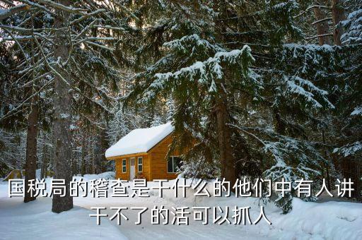 稅務(wù)稽查屬于什么工作，國(guó)稅局稽查局工作是干什么