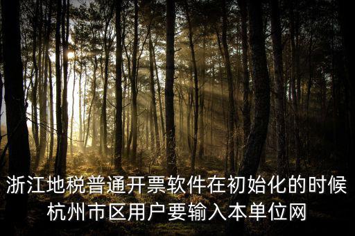 浙江網(wǎng)上稅務局的注冊碼是什么，浙江地稅因特網(wǎng)辦稅服務系統(tǒng)注冊碼過期
