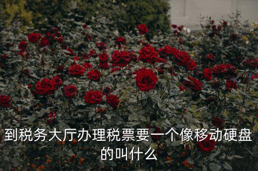稅務(wù)磁盤什么樣，我要正確的答案