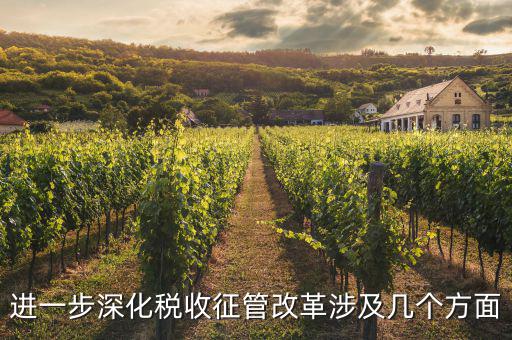 稅務改革 發(fā)展要什么，論述個人所得稅改革的基本原則