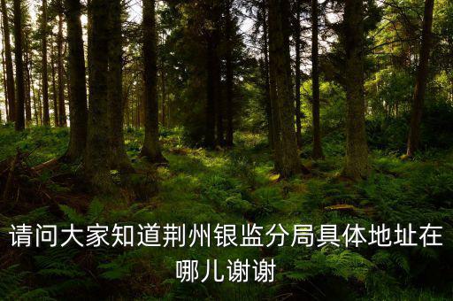 荊州稅務(wù)局在什么地方，請問大家知道荊州銀監(jiān)分局具體地址在哪兒謝謝