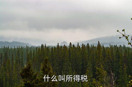 居民企業(yè)所得稅是什么，居民企業(yè)所得稅月度預(yù)繳納稅申報(bào)收入指什么時(shí)候的