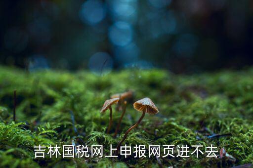 吉林省國(guó)稅上不去為什么，吉林省國(guó)家稅務(wù)局晚上申報(bào) 無法安全登陸