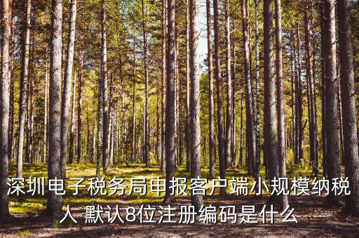 深圳納稅人編號(hào)是什么，什么是深圳市國(guó)稅百元開頭發(fā)票的納稅人識(shí)別號(hào)