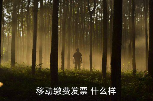 移動(dòng)電子發(fā)票什么樣，移動(dòng)繳費(fèi)發(fā)票 什么樣