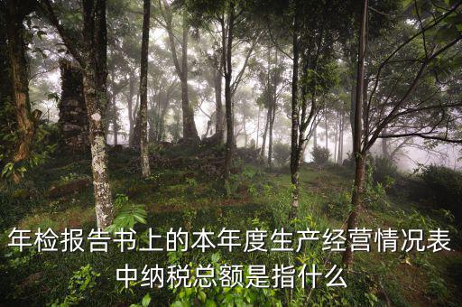 年報的納稅額看什么表，年檢報告書上的本年度生產經營情況表中納稅總額是指什么