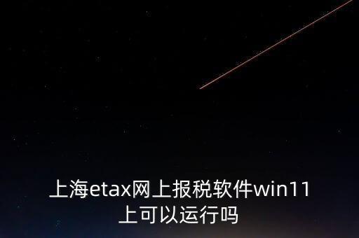 上海網(wǎng)上報稅什么軟件，上海etax網(wǎng)上報稅軟件win11上可以運行嗎