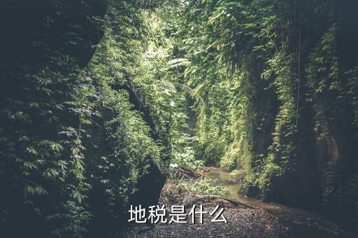 地稅初心是什么，初心使命指的是什么