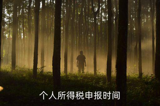 代扣代繳的個稅什么時候申報，個人所得稅申報時間