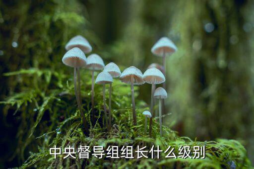 稅務督導組組長什么級別，縣委縣政府督察組組長行政級別具體工作是什么