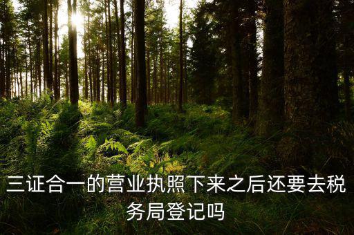 辦完三證合一 要去稅局做什么，三證合一后還需要去國地稅做些什么啊