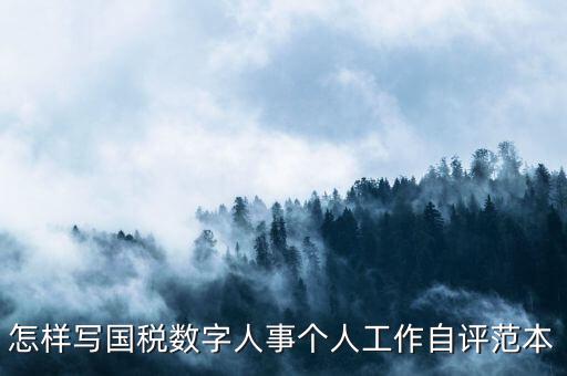 國(guó)稅數(shù)字人事是什么，專業(yè)的除了可以考會(huì)計(jì)證和證券從業(yè)資格證以為還可以考什么證