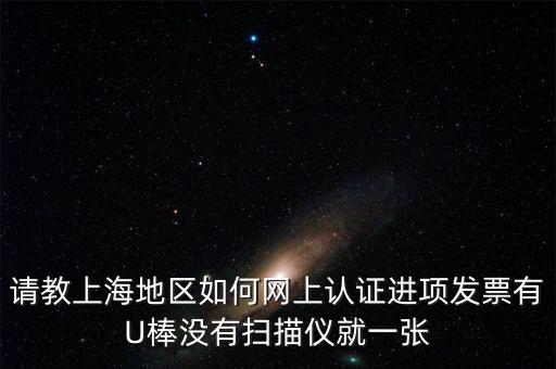 上海 u棒派什么用，請教上海地區(qū)如何網(wǎng)上認(rèn)證進(jìn)項(xiàng)發(fā)票有U棒沒有掃描儀就一張