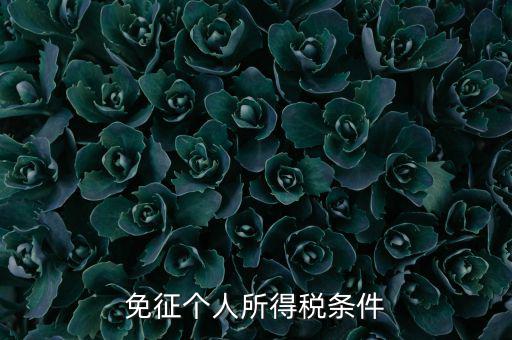 四業(yè)免征個人所得稅有什么要求，個人所得稅減免稅有哪些要求