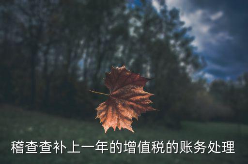 稽查補(bǔ)什么稅，請問被國稅局稽查局查處補(bǔ)交增值稅所得稅及滯納金計入應(yīng)哪個科目