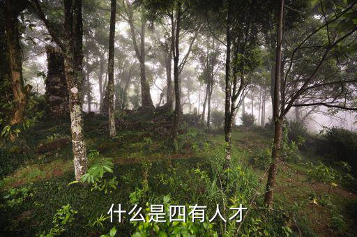 四類人才標(biāo)兵是什么，什么是四有人才