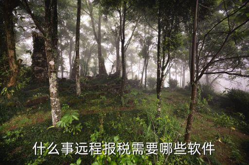 遠(yuǎn)程申報(bào)是什么意思，遠(yuǎn)程報(bào)稅