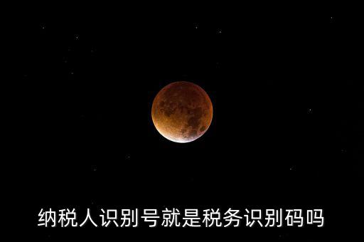 稅務(wù)標(biāo)識符是什么意思，納稅人識別碼是什么