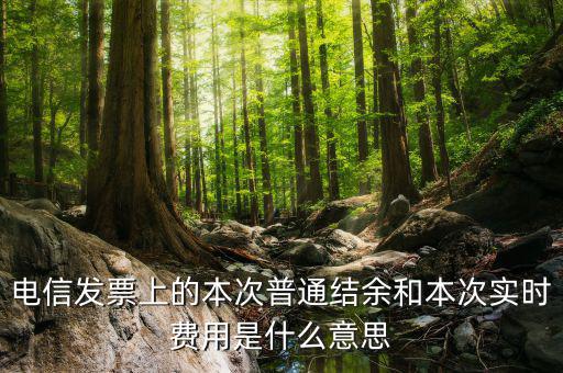 結余發(fā)票是什么，電信交話費發(fā)票上本次普通結余是什么意思啊 實時費用又是什么意思啊