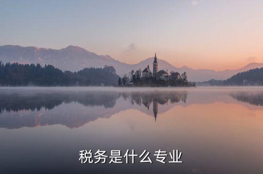 中文專(zhuān)業(yè)和稅務(wù)專(zhuān)業(yè)沒(méi)什么關(guān)系啊，稅務(wù)專(zhuān)業(yè)有哪些相近專(zhuān)業(yè)