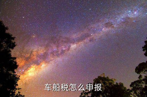 車(chē)船稅是按什么申報(bào)，車(chē)船稅要申報(bào)嗎