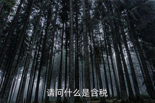 請(qǐng)問(wèn)什么是含稅