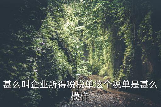 企業(yè)所得稅稅單是什么，稅單是什么怎樣提供稅單