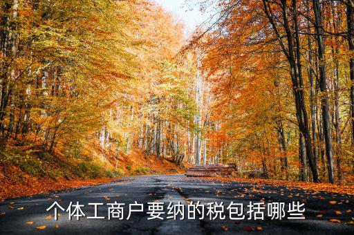 個(gè)體戶需要交什么稅，個(gè)體工商戶需要鈉哪些稅呢
