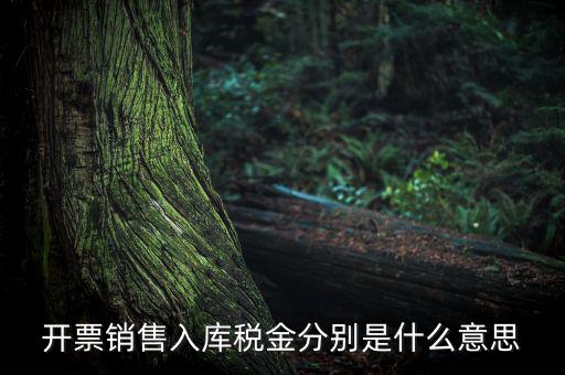 開(kāi)票銷(xiāo)售入庫(kù)稅金分別是什么意思